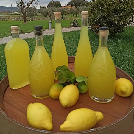 Sogni D'orto Farm stay